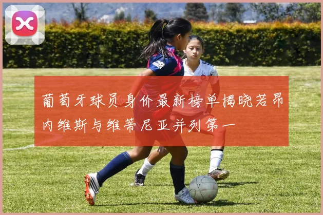 葡萄牙球员身价最新榜单揭晓若昂内维斯与维蒂尼亚并列第一