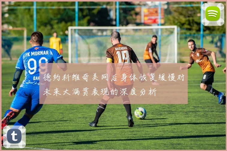 德约科维奇美网后身体恢复缓慢对未来大满贯表现的深度分析